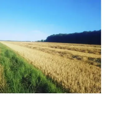 Aussergewoehnliche Auszeit - Metime1 Apartment Felsberg